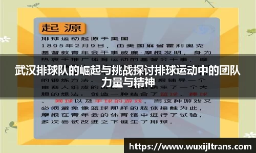 德信体育官网